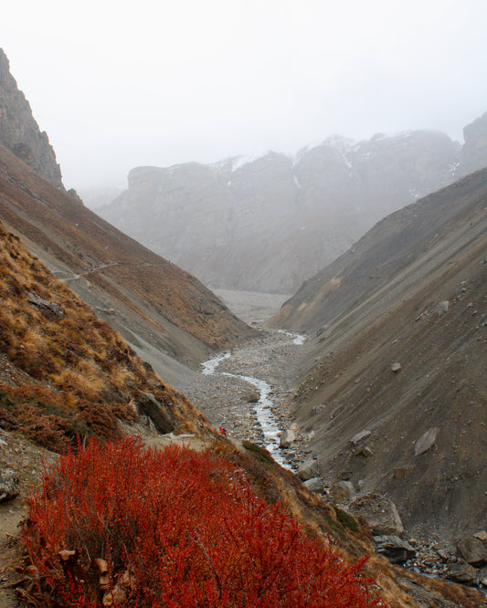 Blue Nude ~ Slow Fashion Brand - The Nepalese Himalayas