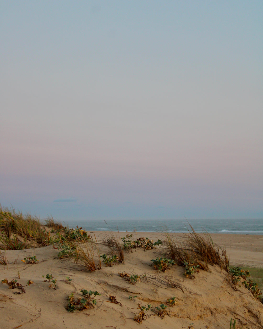 Blue Nude ~ Slow Fashion Brand - Dusk in Nouvelle-Aquitaine