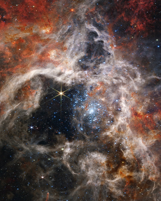 Blue Nude ~ Slow Fashion Brand - Tarantula Nebula by NASA's James Webb Space Telescope
