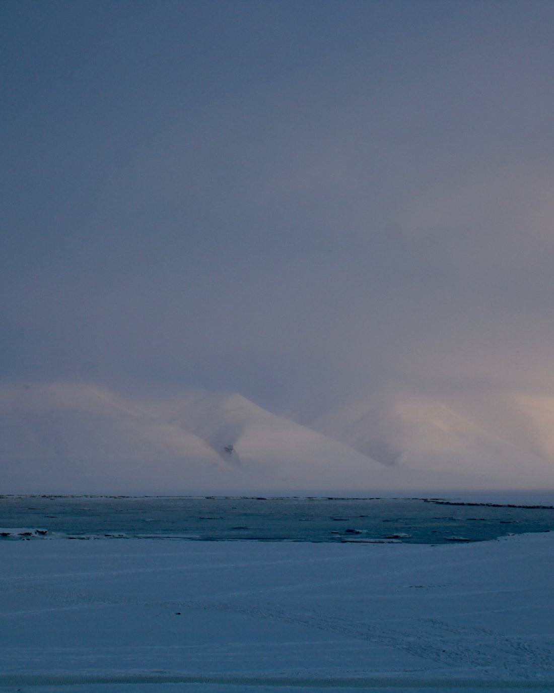 Introducing Borealis